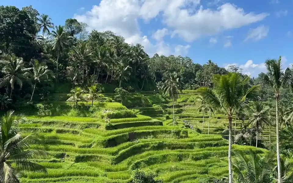 Artisanal Handicraft Markets in Ubud and Canggu for 2027